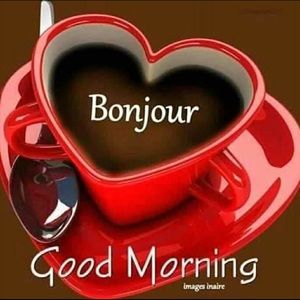 Meet your Posher, Ali